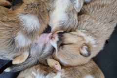 20220722_165438-scaled