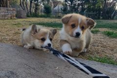 20220825_170444
