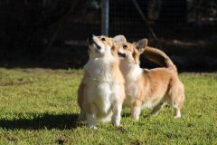 IMG_2029-1-scaled