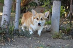 IMG_2065-scaled