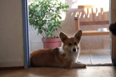 IMG_21271-1-scaled