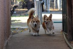 IMG_2138-scaled