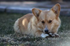 IMG_2210-2-scaled