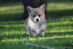 IMG_36701-scaled