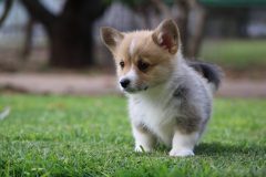 IMG_38072-scaled