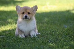 IMG_3905-scaled
