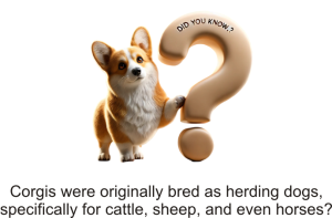 Corgi Puppy Facts
