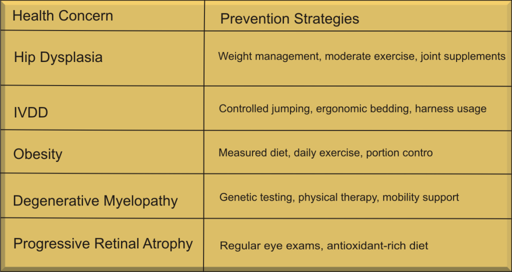 Corgi Health Concerns