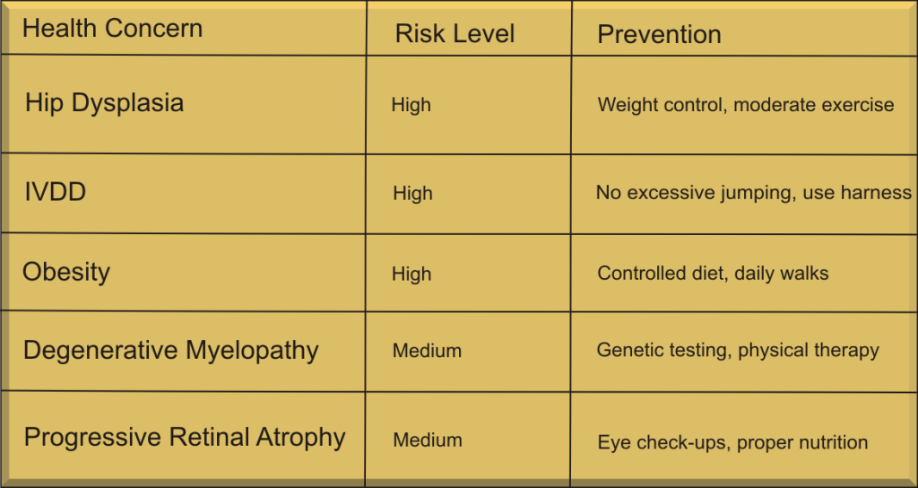Corgi Health Concerns