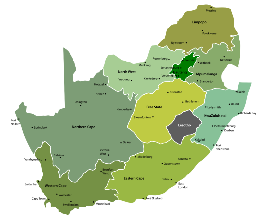 Corgi puppies training