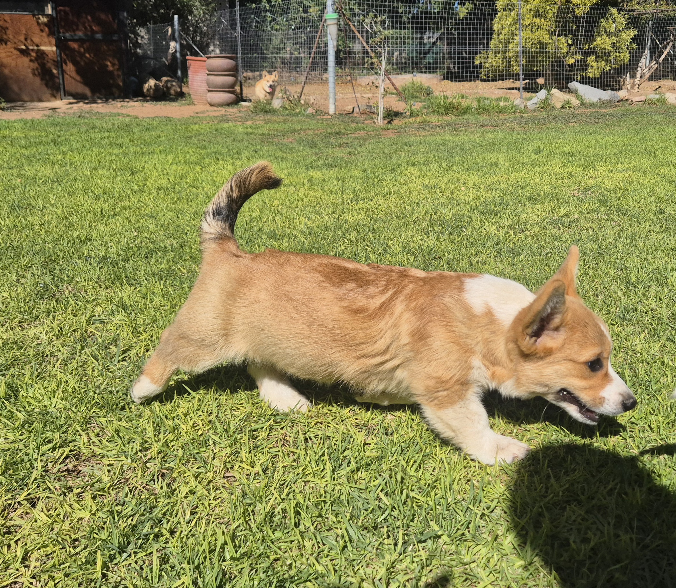 Andrej playing outdoors