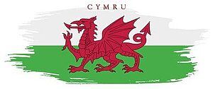 History Corgi Welsh Flag