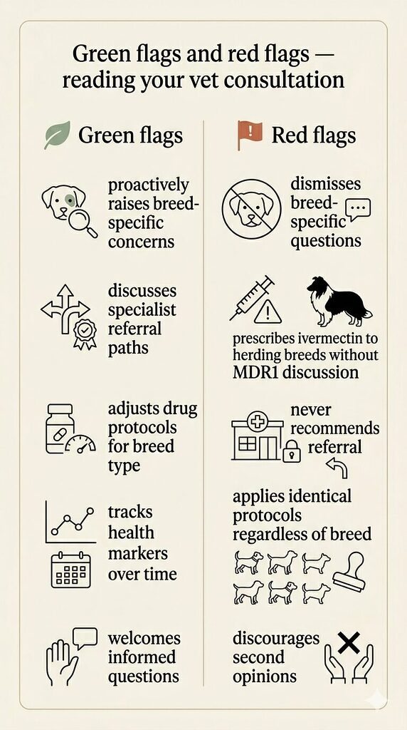 A two-column reference card on a warm off-white background. The left column is headed "Green flags" with a sage green leaf icon and lists five positive indicators: proactively raises breed-specific concerns, discusses specialist referral paths, adjusts drug protocols for breed type, tracks health markers over time, and welcomes informed questions. The right column is headed "Red flags" with a terracotta warning flag icon and lists five warning signs: dismisses breed-specific questions, prescribes ivermectin to herding breeds without MDR1 discussion, never recommends referral, applies identical protocols regardless of breed, and discourages second opinions. The two columns are separated by a thin vertical divider. Each item is accompanied by a small line-art icon.