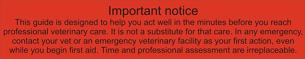Emergency preparedness & first aid for puppies. Important notice